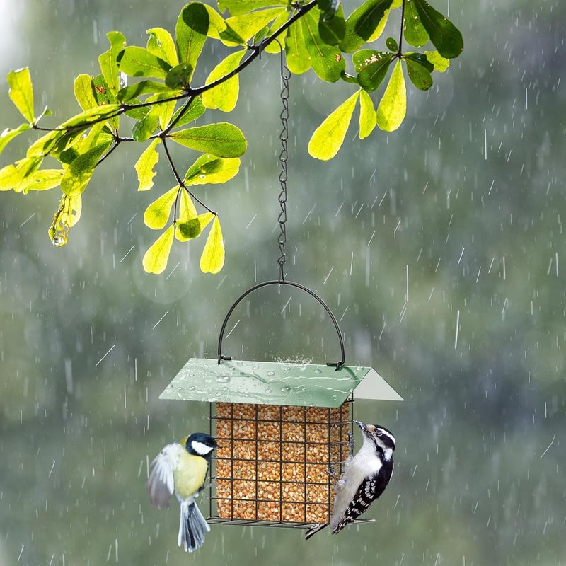 Trieez Bird Feeder for Outdoors, Suet Feeder Hanging, Attracts Nuthatches, Woodpeckers, Creepers, Weatherproof Bird Feeders for Wild Birds Woodpecker, Single Suet Cage for Outdoor - Image 4